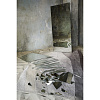 Изображение товара Ковер из хлопка с рисунком Rice plantation из коллекции Terra, 160х230 см