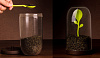 Изображение товара Контейнер для сыпучих продуктов Sprout Jar