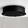 Изображение товара Светильник подвесной Modern, Curve, Ø50х324 см, черный