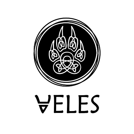 Логотип VELES