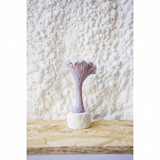 Изображение товара Свеча ароматическая Гриб Лисичка, 11,5 см, фиолетовая