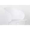 Изображение товара Стул White label living, Gigi, 57х53,5х81 см, белый