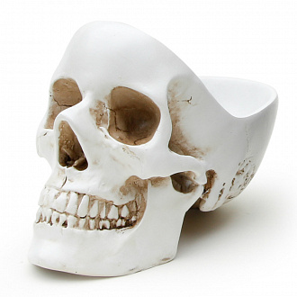 Изображение товара Органайзер для мелочей Skull, белый
