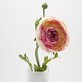 Изображение товара Цветок Ранункулюс розовый в интерьер 34 см