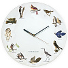 Изображение товара Часы настенные Голоса птиц