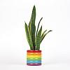 Изображение товара Горшок цветочный Doiy, Rainbow, 13 см, мультиколор