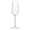 Изображение товара Набор бокалов для шампанского Stipple, 250 мл, 2 шт.