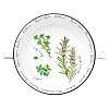 Изображение товара Салатник Easy Life, Herbarium, 12 см