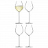 Набор бокалов для шампанского Borough, 285 мл, 4 шт.