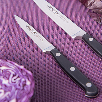 Изображение товара Нож кухонный для чистки овощей Opera, 10 см