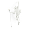 Изображение товара Светильник правосторонний Monkey Lamp Hanging, белый