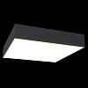 Изображение товара Светильник потолочный Ceiling & Wall, Zon, 30х30х5,8 см, черный