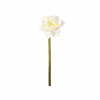 Изображение товара Белый Нарцисс декоративный на высокой ножке 54 см