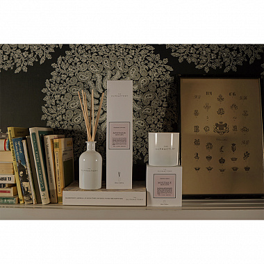 картинка Свеча ароматическая The Olphactory, White Insignia, Mystique Boughs, 60 ч от магазина Одежда+