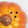 Изображение товара Емкость для соли или перца Тыква, Anna Lafarg, Bright pumpkin, 7 см, оранжевая