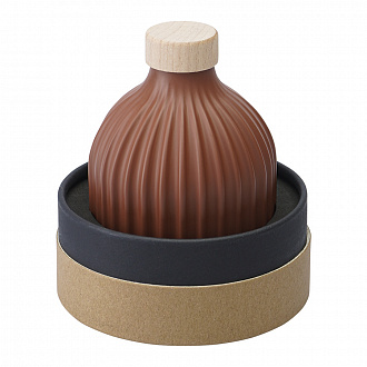 Изображение товара Диффузор ароматический Nutmeg, Leather & Vanilla из коллекции Edge, 200 мл, терракотовый