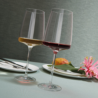 Изображение товара Набор бокалов для вин Flavoursome and Spicy, Vivid Senses, 660 мл, 2 шт.