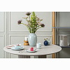 Изображение товара Набор тарелок Simplicity, Ø21,5 см, голубые, 2 шт.