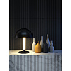 Изображение товара Светильник настольный Table & Floor, Ray, 1 лампа, Ø30х45 см, черный