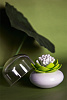 Изображение товара Контейнер для хранения ватных палочек Lotus, белый/зеленый