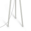 Изображение товара Светильник напольный Table & Floor, Calvin, 1 лампа, Ø60,7х164,2 см, белый