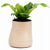 Изображение товара Горшок цветочный Hill Pot, большой, кремовый