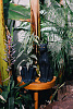 Изображение товара Горшок цветочный Doiy, Urban Jungle Panther, 15 см, черный