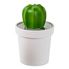 Изображение товара Емкость для хранения с ложкой Cacnister, белая/зеленая