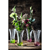 Изображение товара Набор ваз Nachtmann, Spring, 13,6 см, 2 шт., зеленое дно