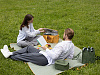 Изображение товара Термосумка для пикника Smart Picnic, L, горчичная