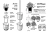 Изображение товара Горшок для полива растений Oasis Round Pot S