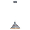 Изображение товара Светильник подвесной Modern, Amis, 1 лампа, Ø24,6х33,5 см, серый