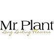 Логотип Mr Plant