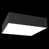 Изображение товара Светильник потолочный Ceiling & Wall, Zon, 22х22х5,8 см, черный