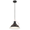 Изображение товара Светильник подвесной Modern, Amis, 1 лампа, Ø24,6х33,5 см, черный