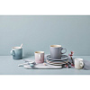 Изображение товара Набор керамических тарелок Le Creuset Calm, 4х17 см