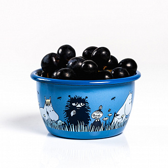 Изображение товара Пиала эмалированная Moomin, Друзья, 300 мл