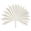 Изображение товара Светильник настенный Palm Leaf, 30х24 см, белый