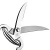 Изображение товара Ножницы кухонные для разделки птицы Professional tools, 26 см, нержавеющая сталь