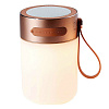 Изображение товара Колонка беспроводная Colors Led Sound Jar, золотая