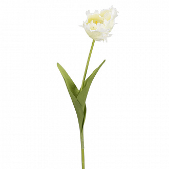Изображение товара Белый декоративный тюльпан для интерьера 70 см
