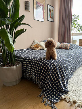 Покрывало из хлопка Polka dots темно-синего цвета из коллекции Essential, 230х250 см, анонс элемента