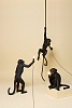 Изображение товара Светильник Monkey Lamp Hanging, черный