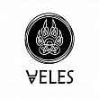Логотип VELES