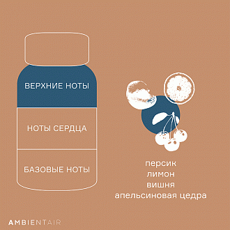 Изображение товара Диффузор ароматический Gifting, Печенье и ягоды, 100 мл