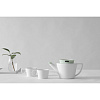 Изображение товара Чайник заварочный с ситечком Viva Scandinavia, Infusion, 500 мл, бело-зеленый