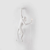 Изображение товара Светильник левосторонний Monkey Lamp Hanging, белый