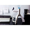 Изображение товара Диспенсер для воды настольный Thirsty Bird, 3 л, черный декор
