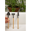 Изображение товара Набор инструментов для декоративных растений Mini Garden 3 предмета
