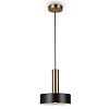 Изображение товара Светильник подвесной Loft, Izza, 1 лампа, Ø20х23 см, черный/латунь